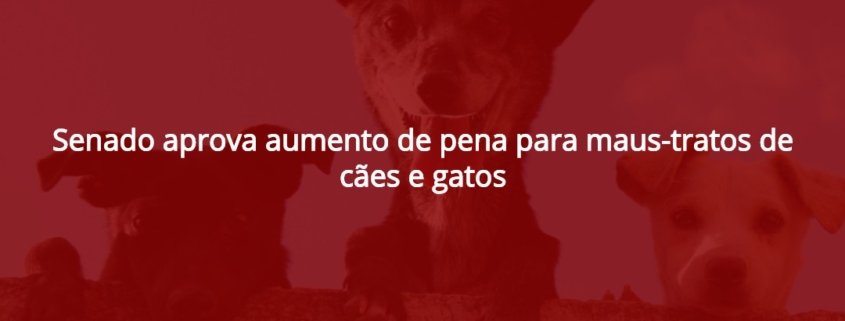 Meio Ambiente, Fauna, Animais